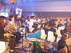 バイオリン演奏